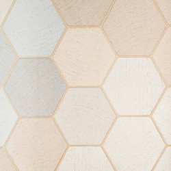 Обои Wiganford Vermont DTT20164